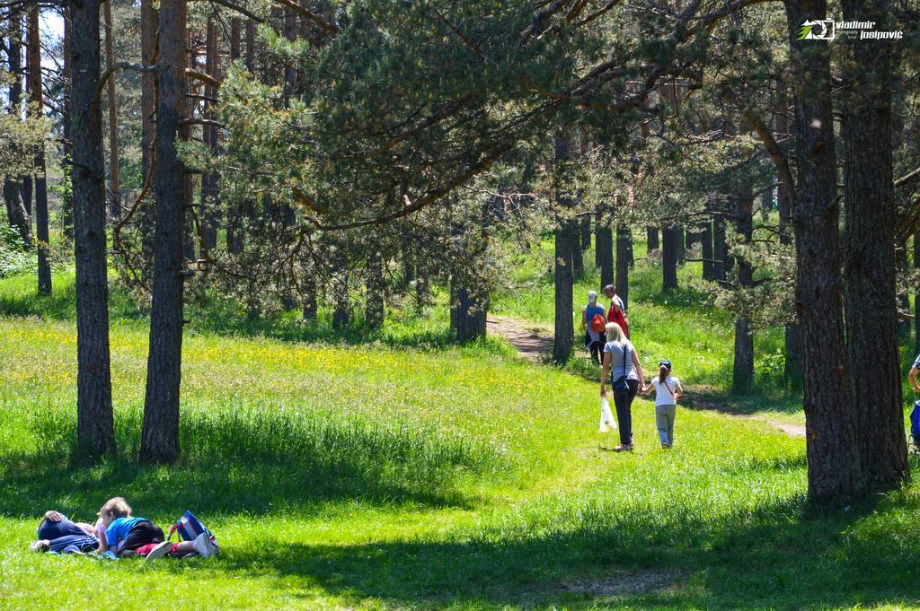 Apartments Josipovic Zlatibor Exteriér fotografie